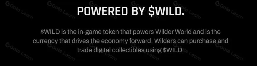 Wilder World(WILD币)是什么？值得投资吗？WILD币价格预测2025.8.18