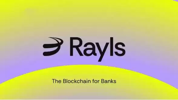 Rayls(RLS)币详细介绍