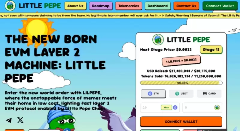 最佳加密货币预售介绍