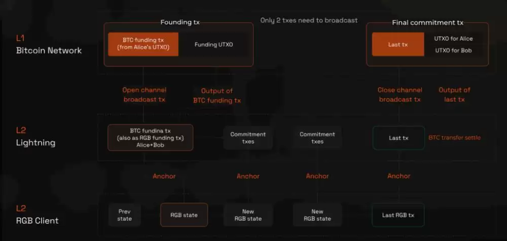 Bitlight (LIGHT)币详细介绍