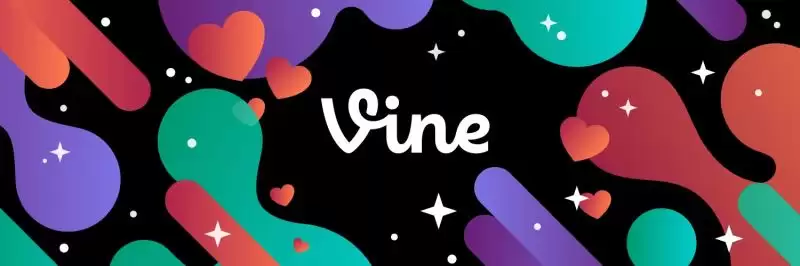 Vine Coin(VINE币)是什么？为何突然暴涨？VINE币2025年、2026-2030年价格预测