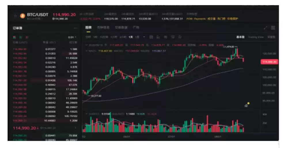 比特币（BTC）新高后大跌近1万美元 市场发生了什么？