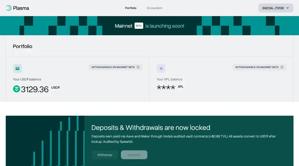 Plasma Chain(XPL)币详细介绍