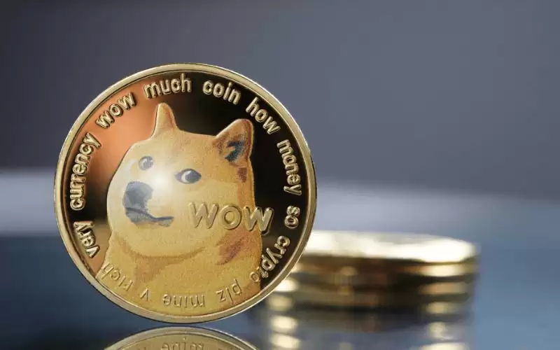 Dogecoin（DOGE）币是什么？DOGE价格预测2025-2030年