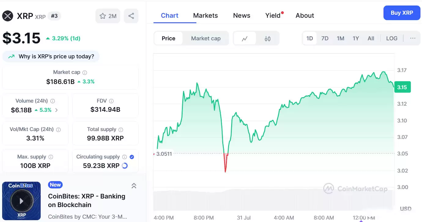 XRP币月度收盘价突破3.03 美元,未来价格如何？XRP 价格预测 2025-2030年