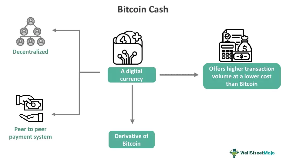 比特币 vs 比特币现金：数字黄金与数字现金