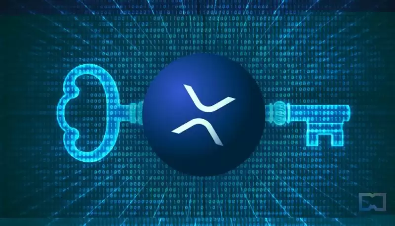 XRP冷wallet完整指南