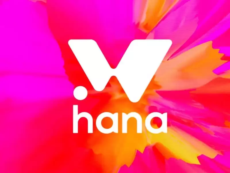 Hana Network(HANA)币具体介绍