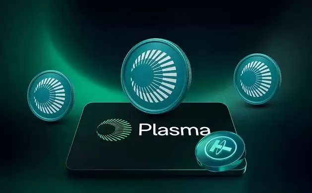 Plasma vs Stable:哪种稳定币区块链将控制 USDT 支付？一文分析