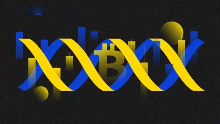 比特币价格波动性介绍