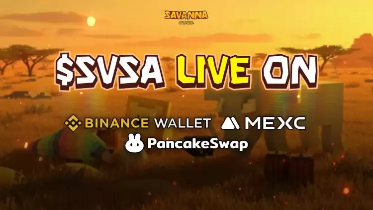 SVSA币全面介绍
