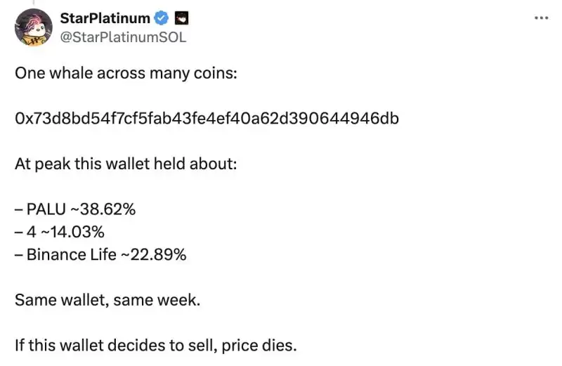 BNB模因币大崩盘的原因