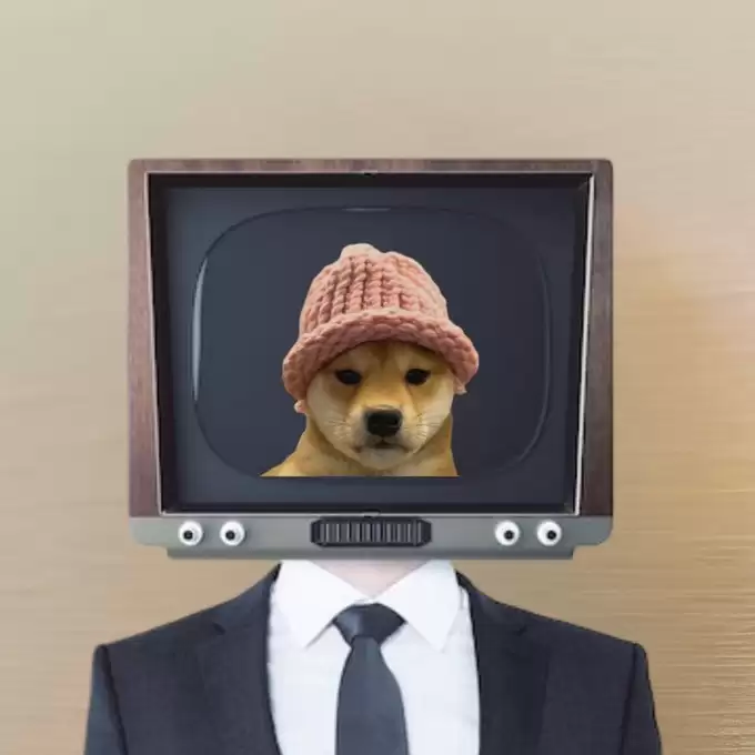 Dogwifhat (WIF)币是什么？从迷因到数十亿美元的市值:代币经济学、风险介绍