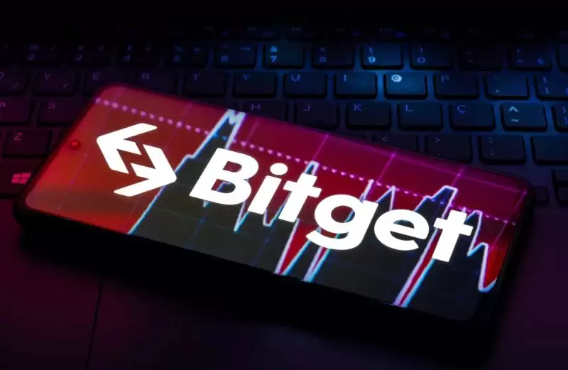 Bitget官网入口：Bitget官方APP下载安装、充值、转账、合约、提现