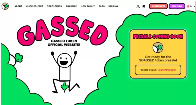 最佳加密货币预售介绍