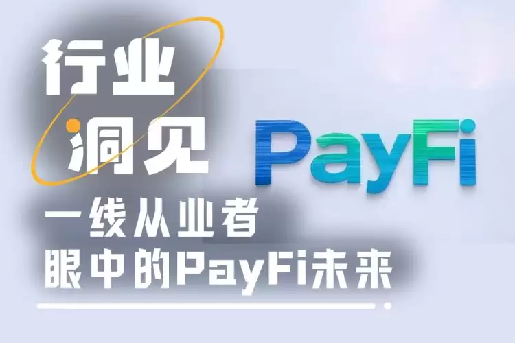PayFi行业发展分析