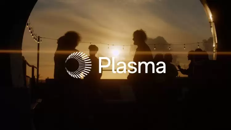 Plasma对链上支付影响