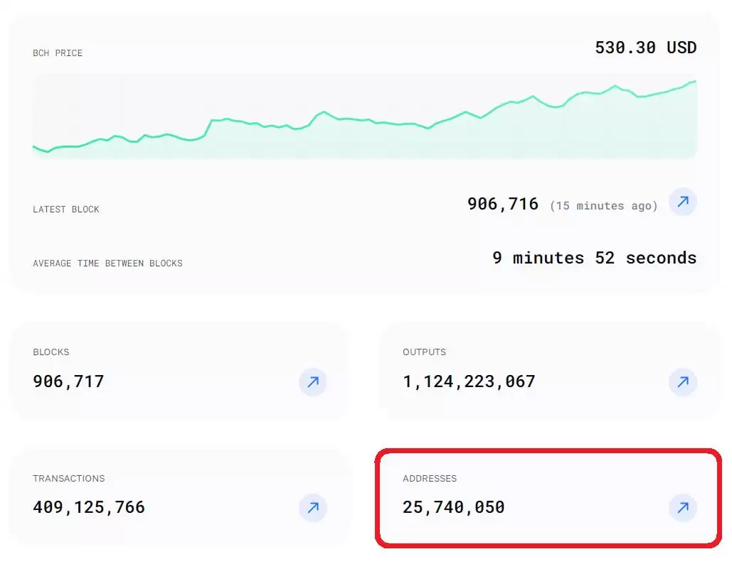 比特币现金（BCH币）是什么？2025年还有上涨空间？BCH未来展望