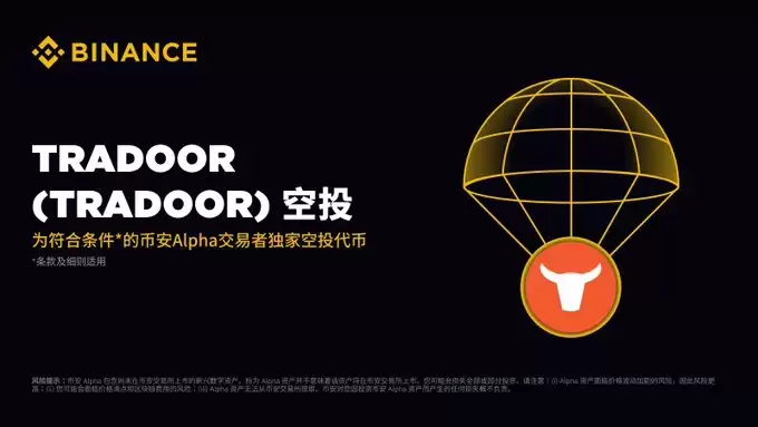 TRADOOR币全面介绍