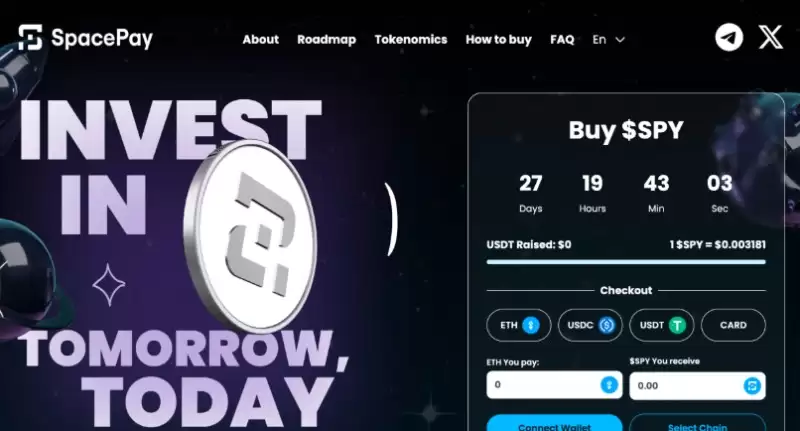 最佳加密货币预售介绍