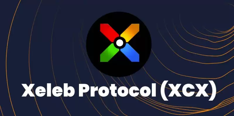 Xeleb Protocol(XCX币)是什么？如何参与XCX币空投？XCX代币经济、功能特点介绍