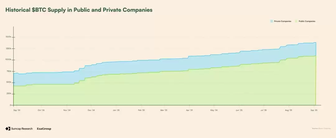 Plasma对链上支付影响