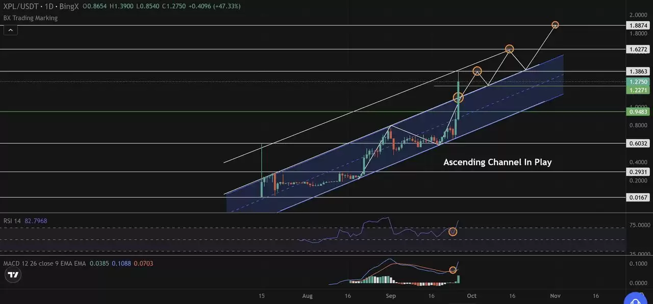 Plasma (XPL)币上线:空投高达 2500 万美元!XPL价格预测与投资重点介绍