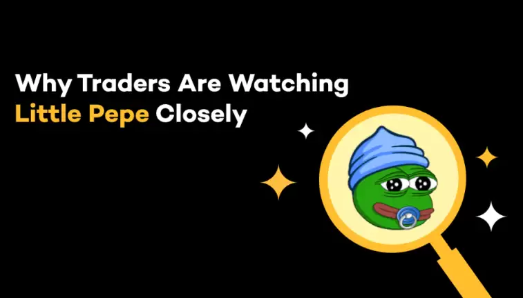 Little Pepe(LILPEPE币)是什么?值得投资吗?LILPEPE代币经济与未来发展路线介绍