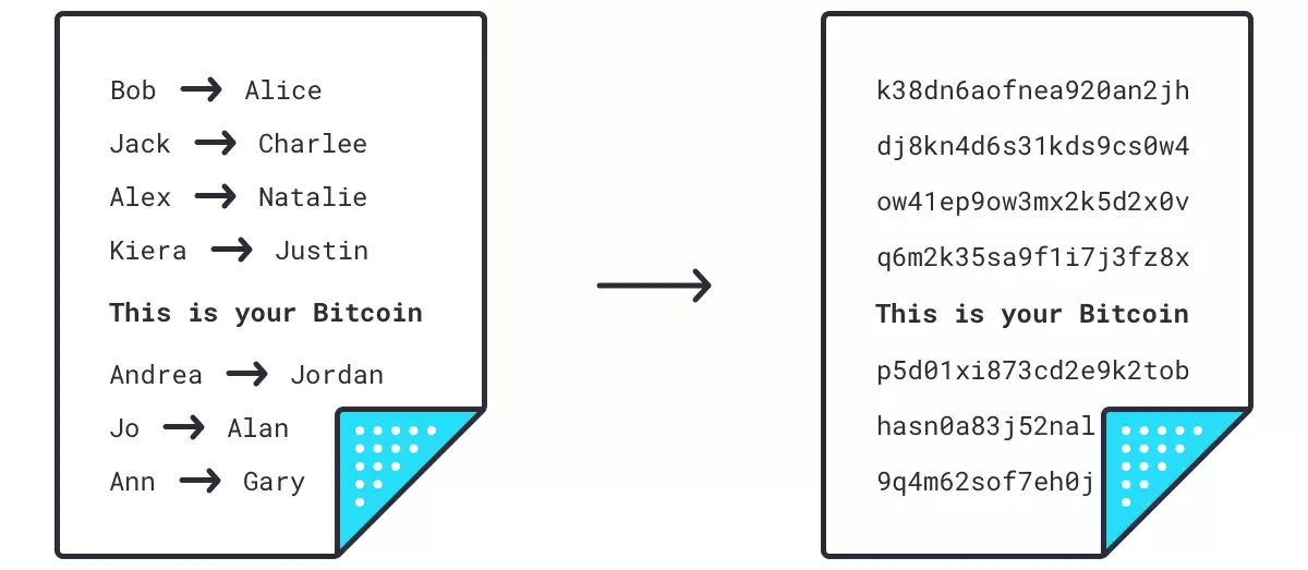 新手比特币指南:什么是比特币？比特币是如何运作的？