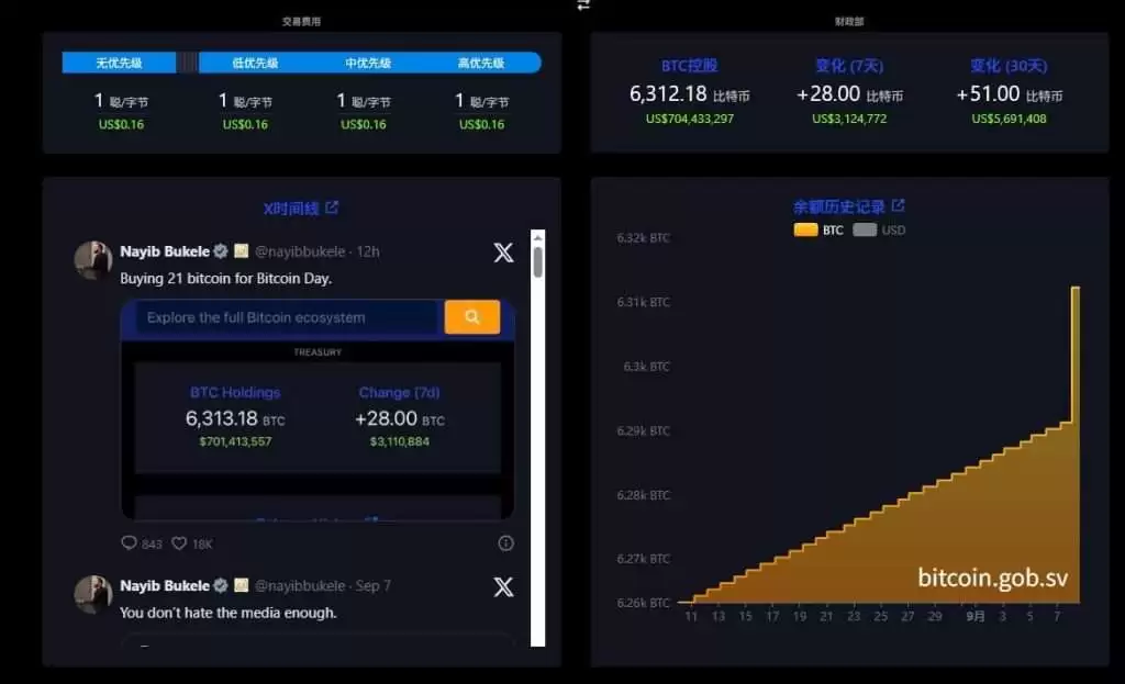 萨尔瓦多比特币法四周年：比特币使用现况？持有量多少？