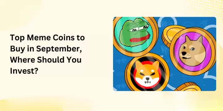 9月最值得购买的Meme币有哪些?在哪里投资?一文介绍