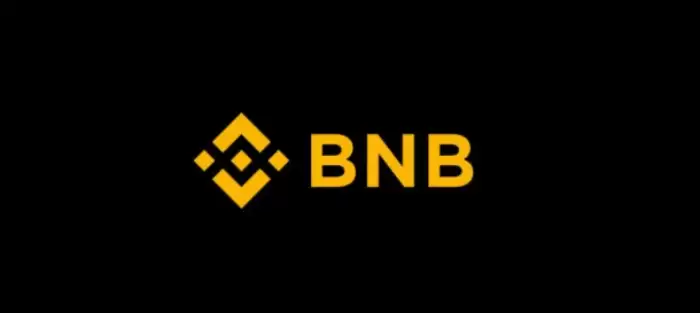币安币(BNB)上涨原因分析