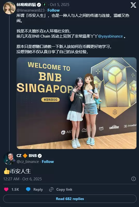 币安人生(BIANRENSHENG):首个在全球爆红的中文迷因币,一文介绍