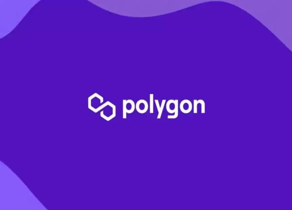 Polygon（MATIC币）是什么？怎么买？MATIC价格预测2025-2030年
