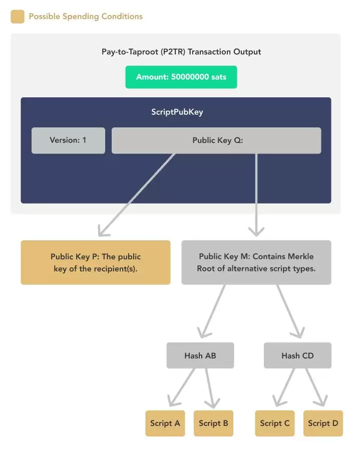 什么是Taproot？Taproot升级给比特币带来了哪些好处？