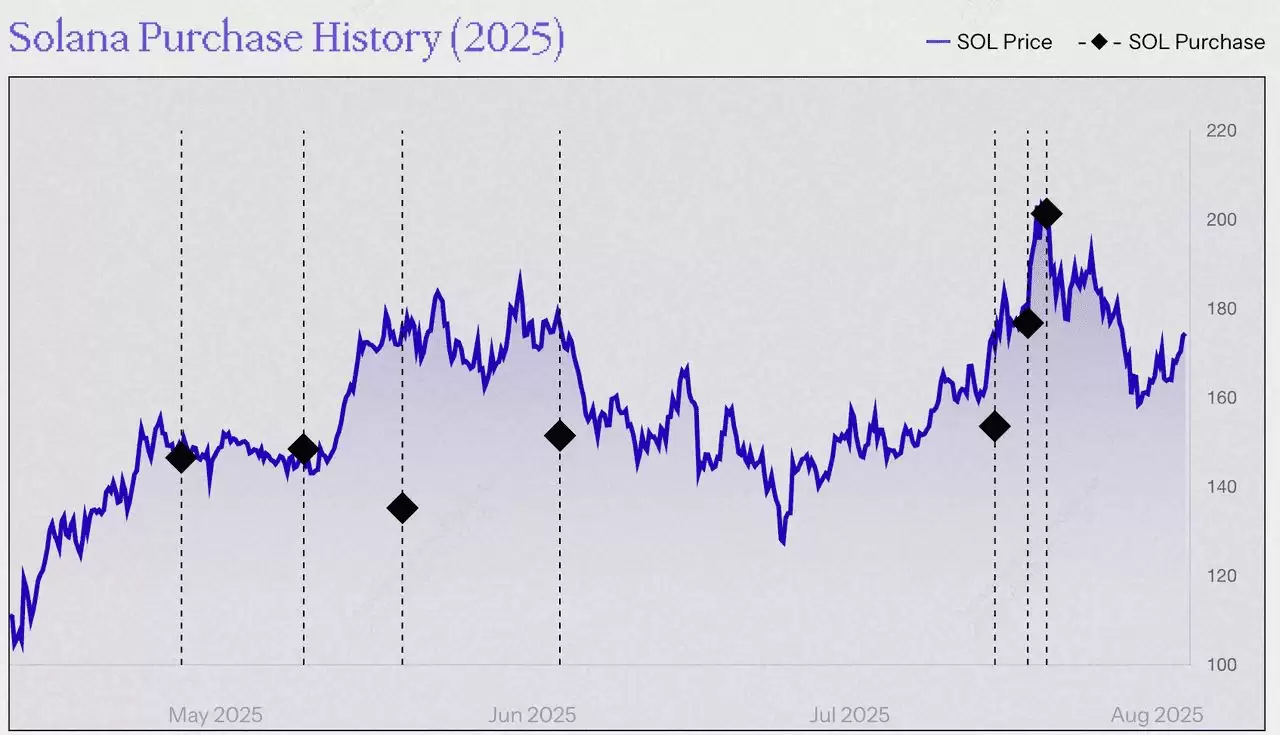 Solana 财库解析:2025 年主要企业和机构SOL 持有者介绍