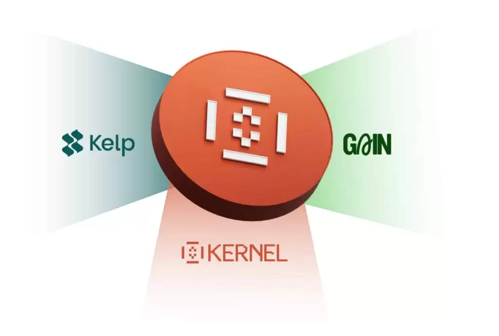 什么是 KernelDAO (KERNEL)币？KERNEL生态系统、代币经济学及价格预测
