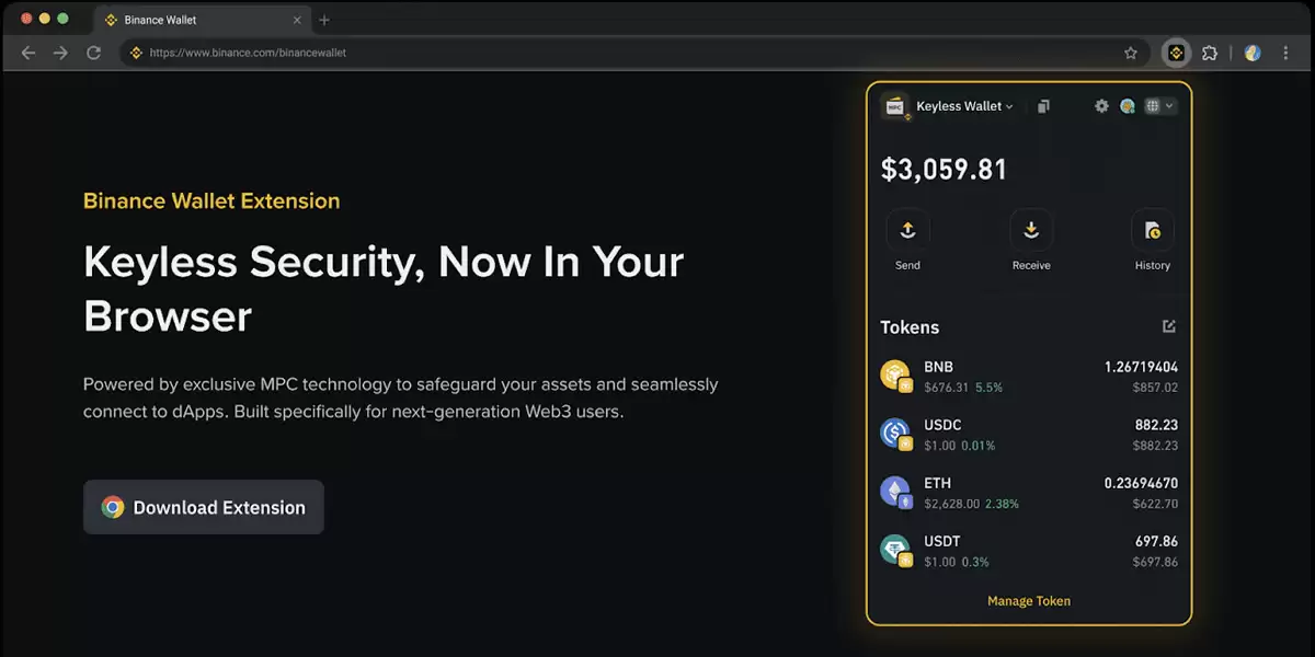 什么是币安wallet插件？
