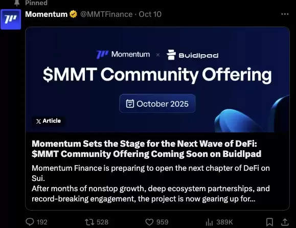 Momentum(MMT)币全面介绍