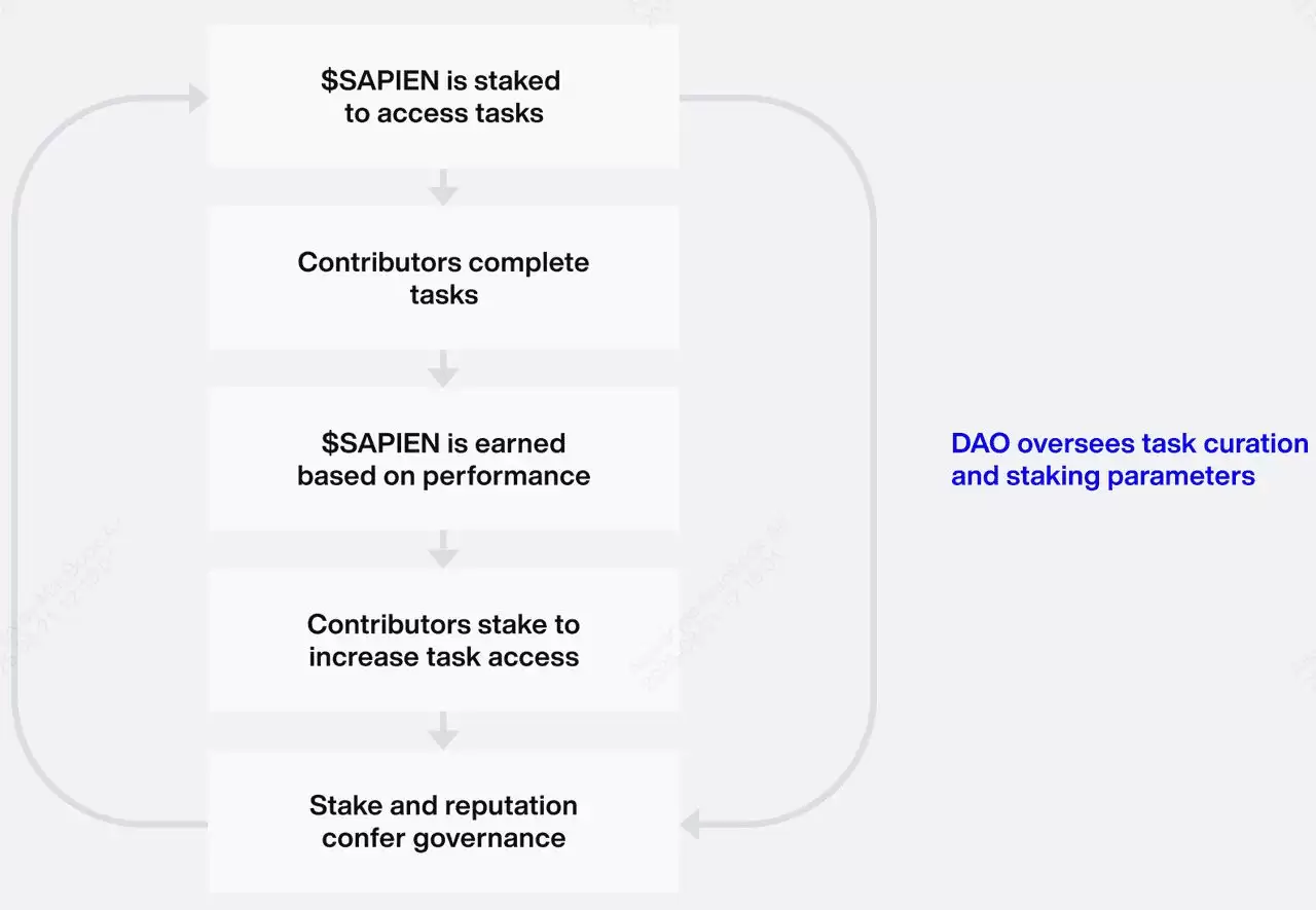 什么是Sapien (SAPIEN币)? 如何获取空投？代币经济学及价格预测