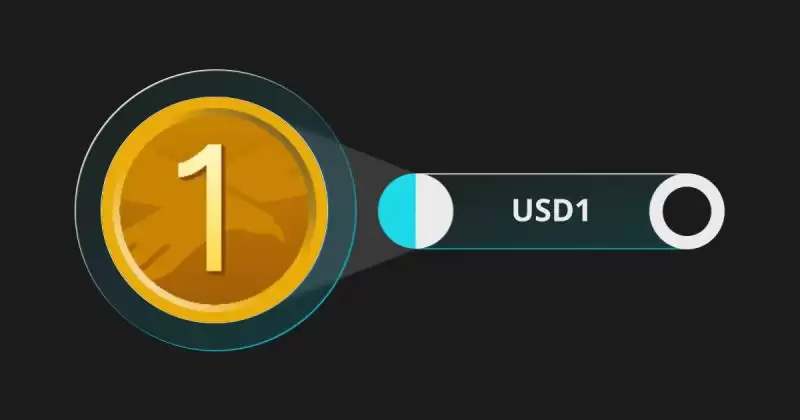 什么是USD1稳定币？与其他稳定币有什么不同？市场前景如何？