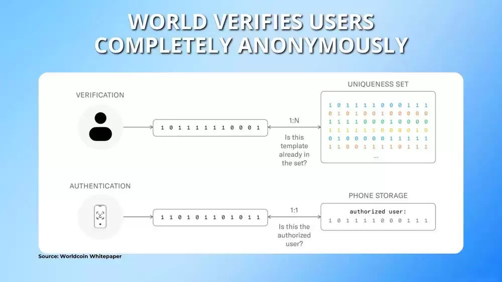 什么是世界币（World）？世界币代币经济学、如何购买及价格预测