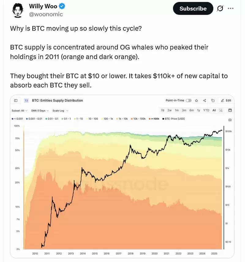 Willy Woo：早期巨鲸是比特币（BTC）“痛苦上涨”的罪魁祸首