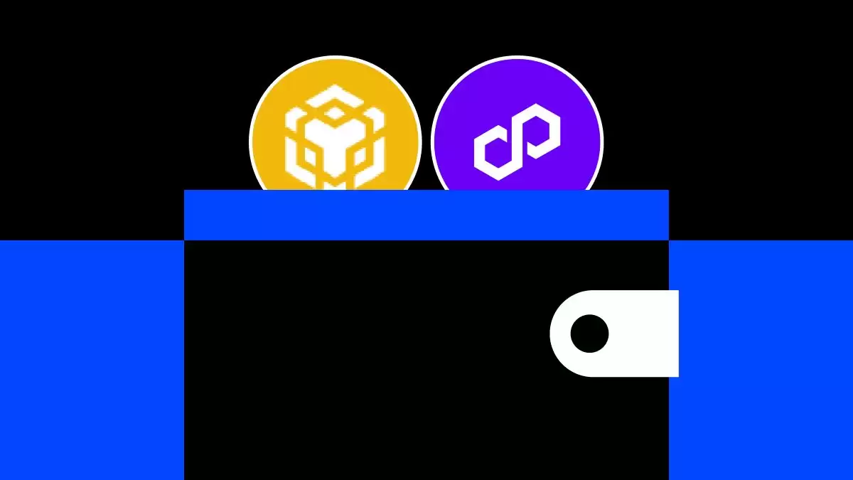 如何将 MetaMask 连接到 BNB、Polygon 和其他支持的区块链：详细指南