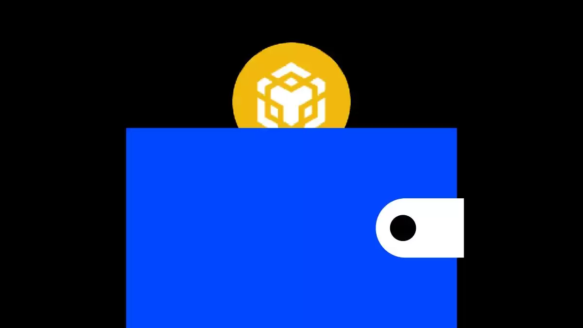  如何将MetaMask连接到BNB智能链(BSC)？一文分步过程指南