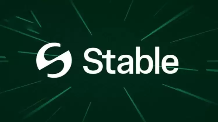 Stable是什么?稳定币专属区块链Stable的详细介绍指南