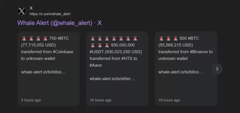 加密货币巨鲸追踪