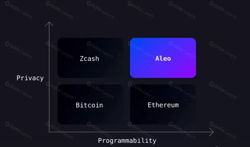 Aleo币是什么？前景怎么样？Aleo币价格预测、潜在价值、融资背景介绍