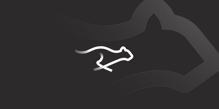 一文详解Keeta(KTA)币