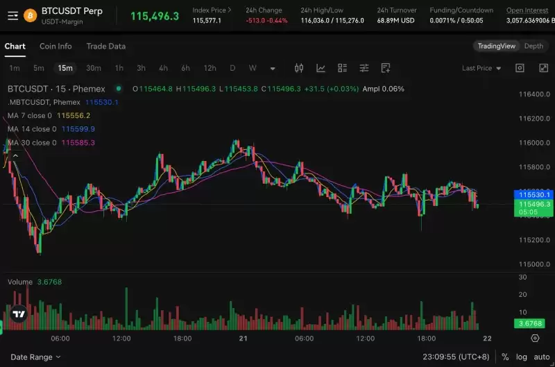 Phemex 上的比特币期货市场